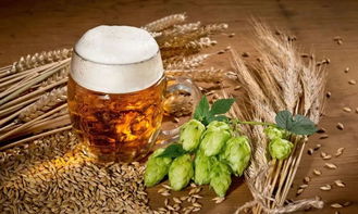 奇葩的德國(guó)人 酒精飲料中的奇聞趣事