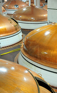 “坩堝包菜” 從實(shí)驗(yàn)室到餐桌的創(chuàng)意酒精飲料